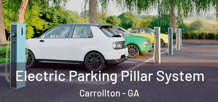  Electric Parking Pillar System Carrollton - GA